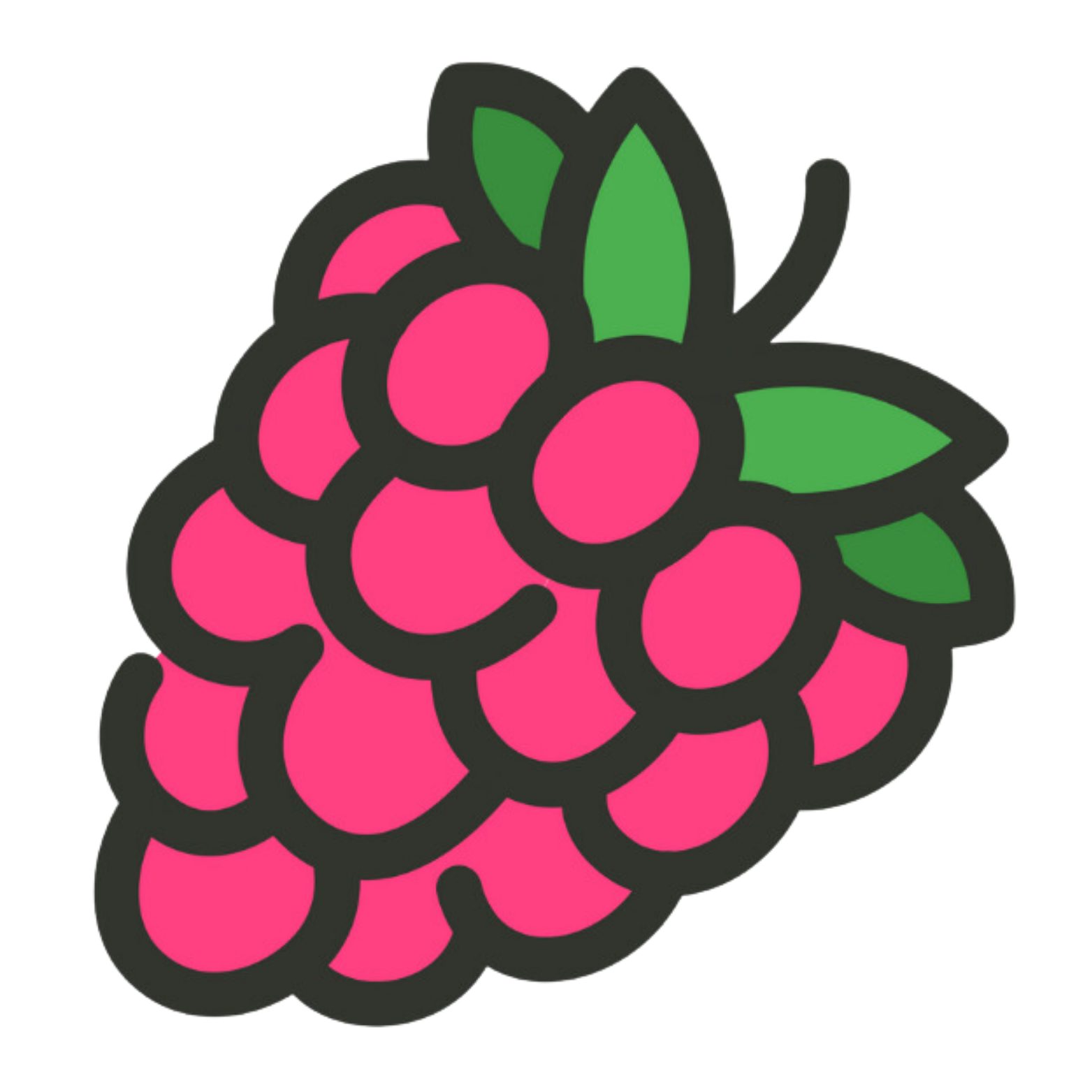 Raspberry Media